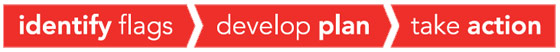 identify flags > develop plan > take action